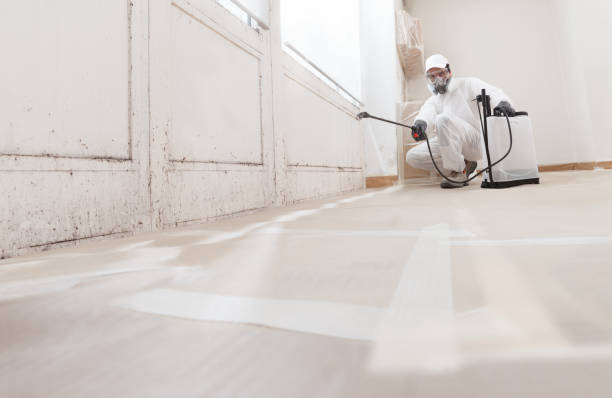 24/7 Emergency Mold Remediation experts in Washington, NJ